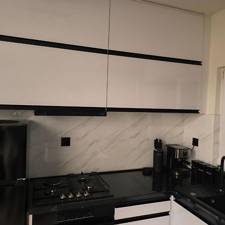 Apartman Rex Svinisce Bagian luar foto