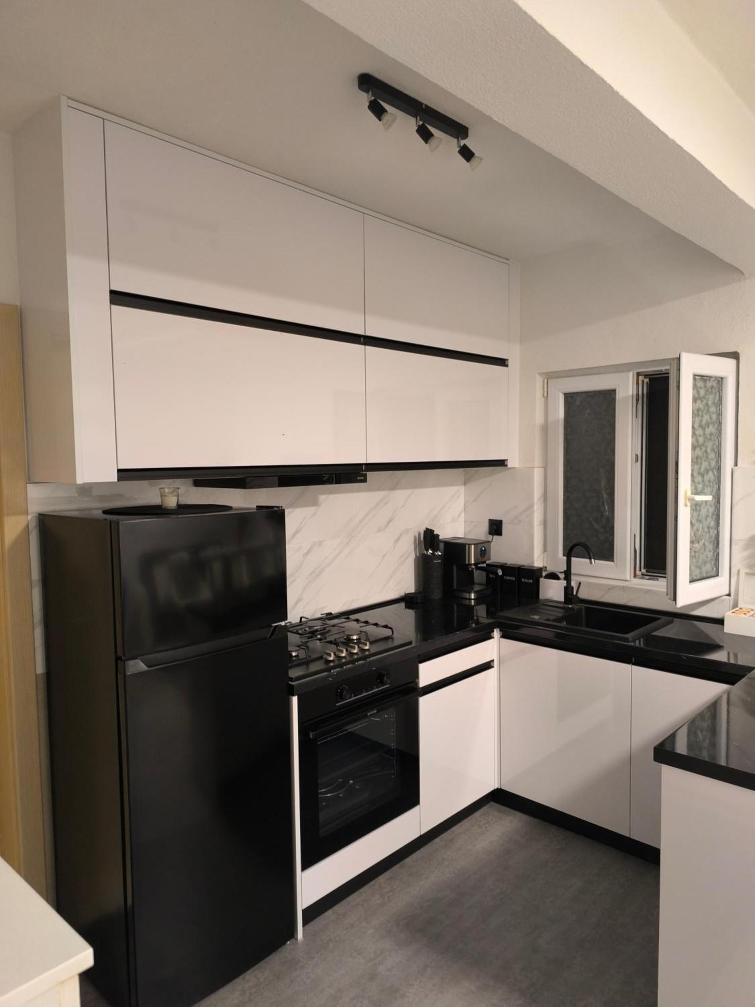 Apartman Rex Svinisce Bagian luar foto