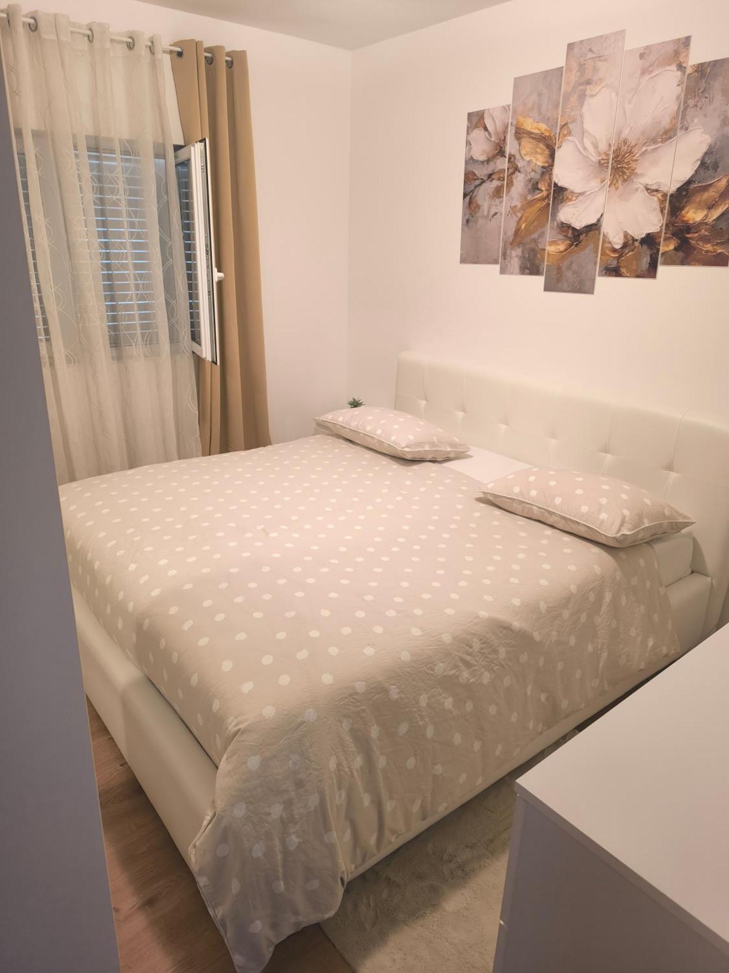 Apartman Rex Svinisce Bagian luar foto